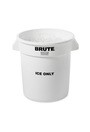 Contenant pour glace seulement Brute
