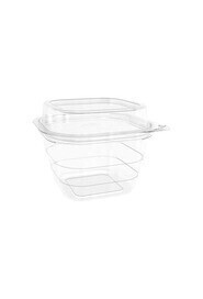 Recyclable Hinged Container with Dome Lid #EC420755400