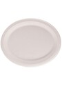 Bagasse Round Compostable Plate #GL006020000