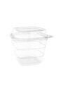 Recyclable Hinged Container with Dome Lid #EC420755500