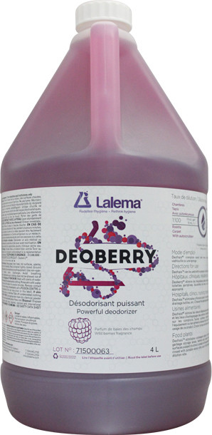 DEOBERRY Wild Berries Scented Deodorizer #LM0071504.0