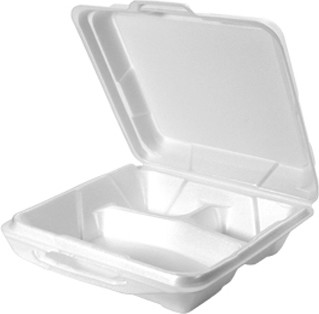Large 3 Compartment Foam Hinged Container #EM020310000