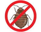 Pest Control