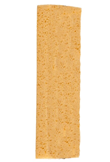 Plastic Squeezer Sponge Mop #AG000141000