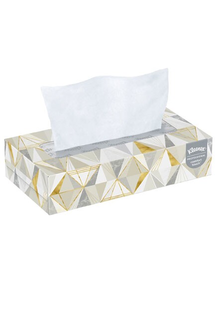 Papier mouchoirs Kleenex 100 feuilles 2 plis, paquet de 5 21005 - ABC  Distribution