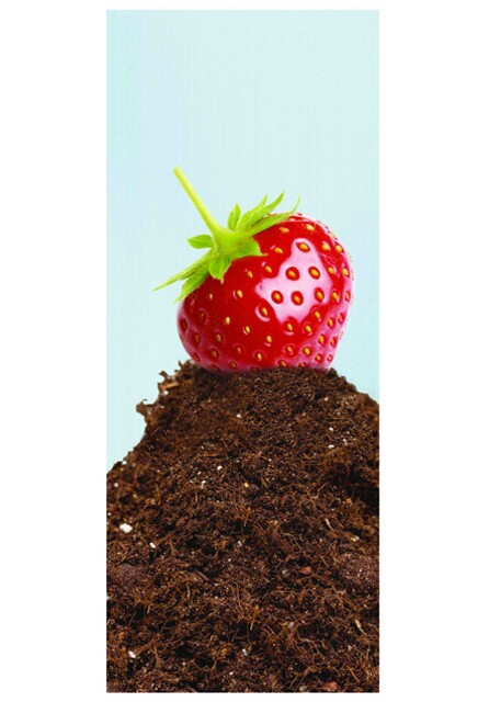 Autocollant "Matières Organiques" pour station Multiplus #NICOMPPO58L