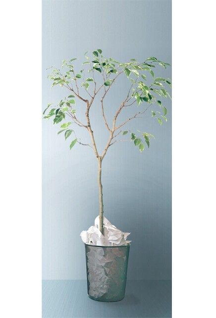 Autocollant "Papier / Carton" pour station Multiplus #NIPACAP158L