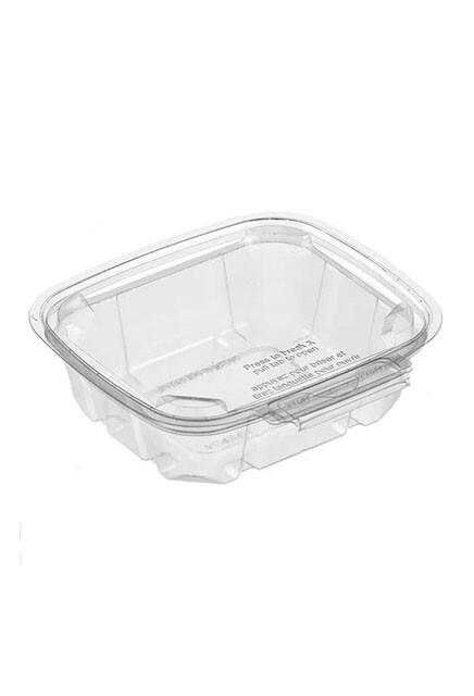 Sécurité Recyclable Plastic Clear Container #EC419510800