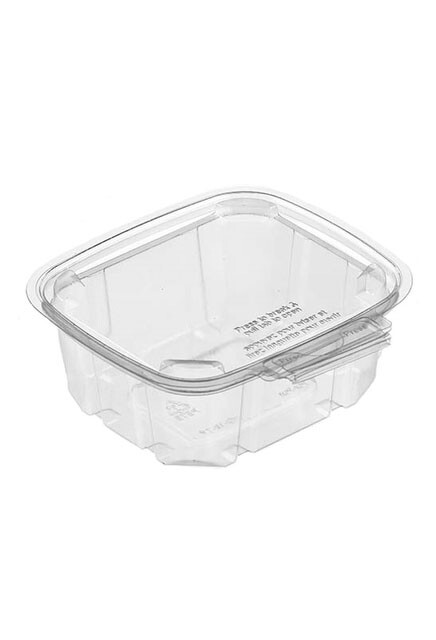 Sécurité Recyclable Plastic Clear Container #EC419511200