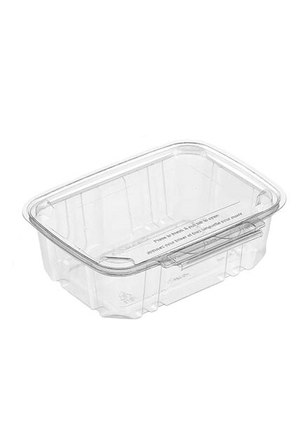 Sécurité Recyclable Plastic Clear Container #EC419512400