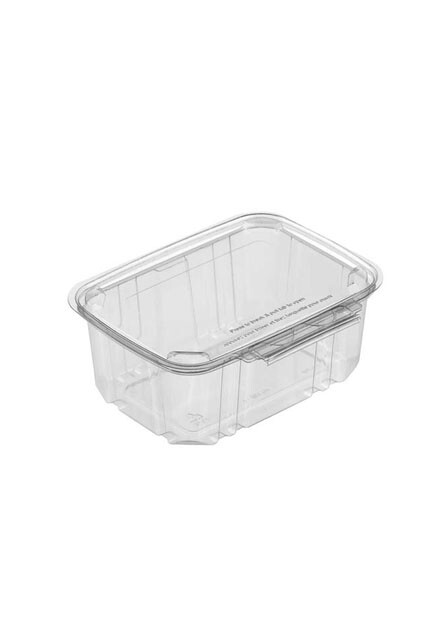 Sécurité Recyclable Plastic Clear Container #EC419513200