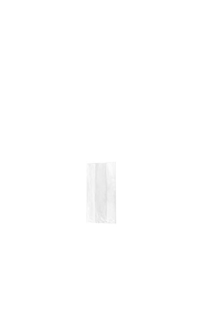 Sac en polyéthylène clair #EC300001000