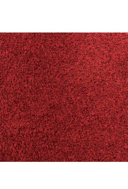 SUPERLUXE Tapis essuie-pieds pour trafic modéré #MT207R438