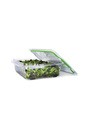 FreshWorks Produce Saver Food Storage Containers Sets