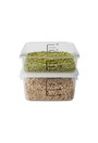 Contenants d'entreposage d'aliments carrés Crystal-Clear