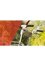 Walk-Behind Motorized Carrier TRAILBLAZER TRANSPORTER LS360