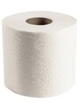 Papier hygiénique Scott Essential 04460, 2 plis, 80 x 550 par caisse