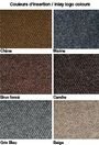 Tapis essuie-pieds et gratte-pieds Carpette Deluxe à insertion