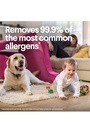 CLOROX Lingettes désinfectantes au parfum frais