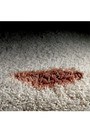 SCOTCHGARD Nettoyant pour tissus et tapis