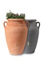 Rain Barrel ANTIQUE AMPHORA 250 Liters