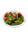 Bagasse Round Compostable Plate