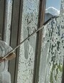 Scrapper and Squeege Broom Handle 59"