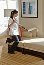 Executive Series Telescopic Handle 41" - 79" Hygen Quick Connect