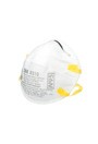 Particulate Mask N95 8210