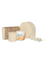 SCOTT Standard Roll Bathroom Tissue Made with Bamboo Fiber