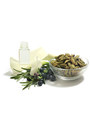 Continuous Air Freshener SPA TC Microburst® 9000 Refill