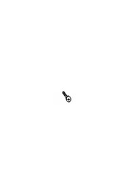 Screw 5x25  #NA155460000