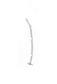 Steel wire #NA154360000
