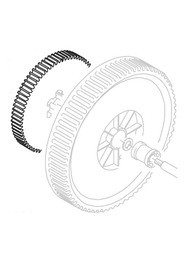 Cog left  z=79 #NA501090000