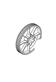 Cog, right  z=79 #NA501100000