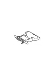 Foot pedal w/axle&spring #NA122937OR0