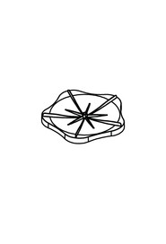 Roue à ailettes #CH069014000