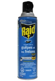 RAID Insecticide contre les guêpes et les frelons #SJ300017765