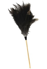 Plumeau économique en plumes d'autruche #WH004603000