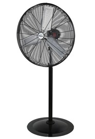 Oscillating Pedestal Fan, 3 Speeds, 30" Diameter #TQ0EA666000