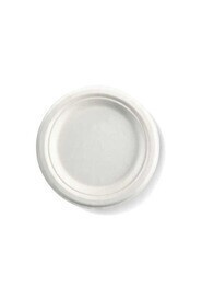 Assiette en bagasse blanche #EC700018700