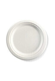 Assiette en bagasse blanche #EC700018800