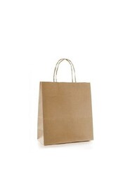 Brown Paper Bag with Handle #EC112051300
