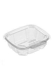 Sécurité Recyclable Plastic Clear Container #EC419510800
