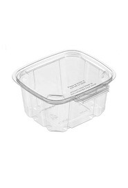 Sécurité Recyclable Plastic Clear Container #EC419511600