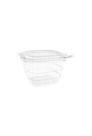 Recyclable Hinged Container with Flat Lid #EC420755100