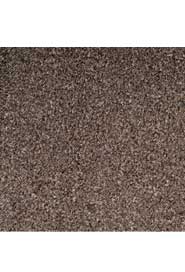 PROLUXE Tapis essuie-pieds pour trafic léger #MT6M21