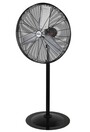 Oscillating Pedestal Fan, 3 Speeds, 30" Diameter #TQ0EA666000
