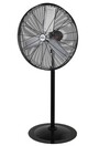 EA829 Oscillating Pedestal Fan, 3 Speeds, 30" Diameter #TQ0EA666000