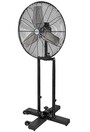 EB116 Foldable Pedestal Fan, 2 speeds #TQ0EB116000